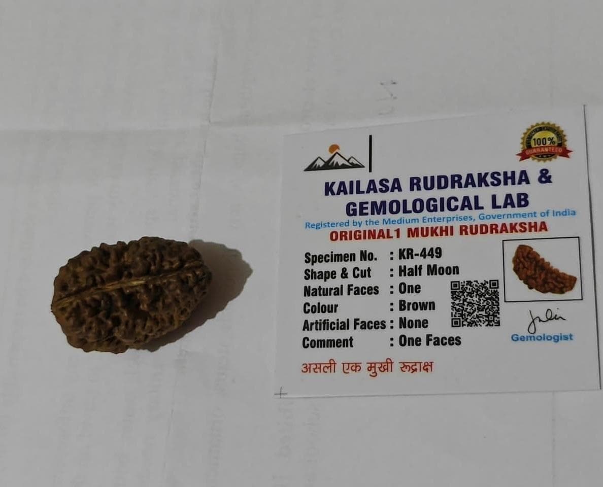 Premium Certified Rameshwaram 1 Mukhi Rudraksha – Rare Half Moon Shape (Large Size)