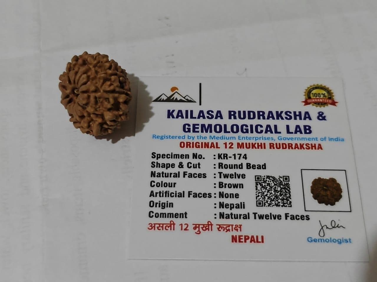 100% Original Lab-Certified 12 Mukhi Nepali Rudraksha Bead