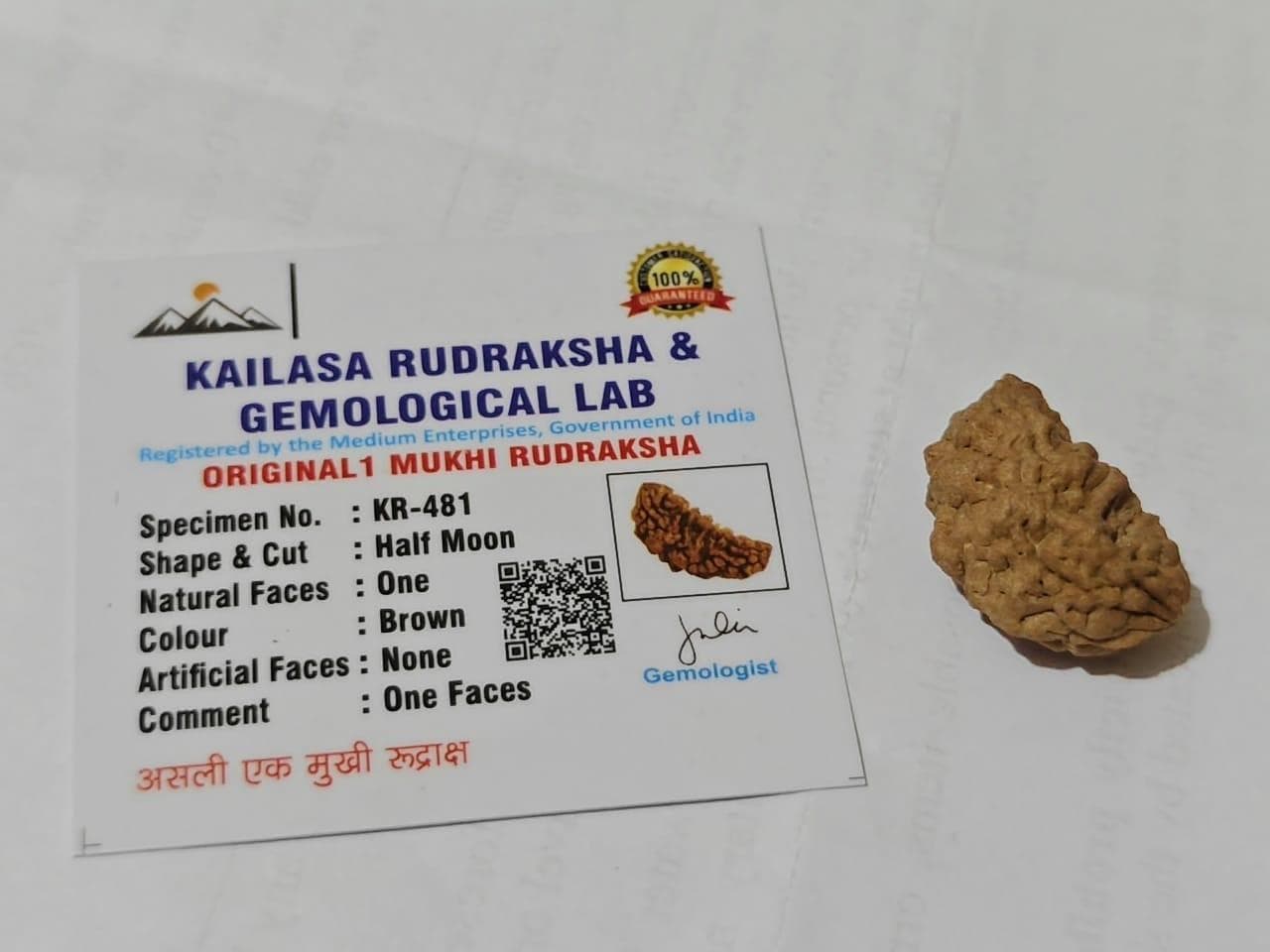 100% Original Lab-Certified 1 Mukhi Rudraksha (Rameswaram Cashew Shape)