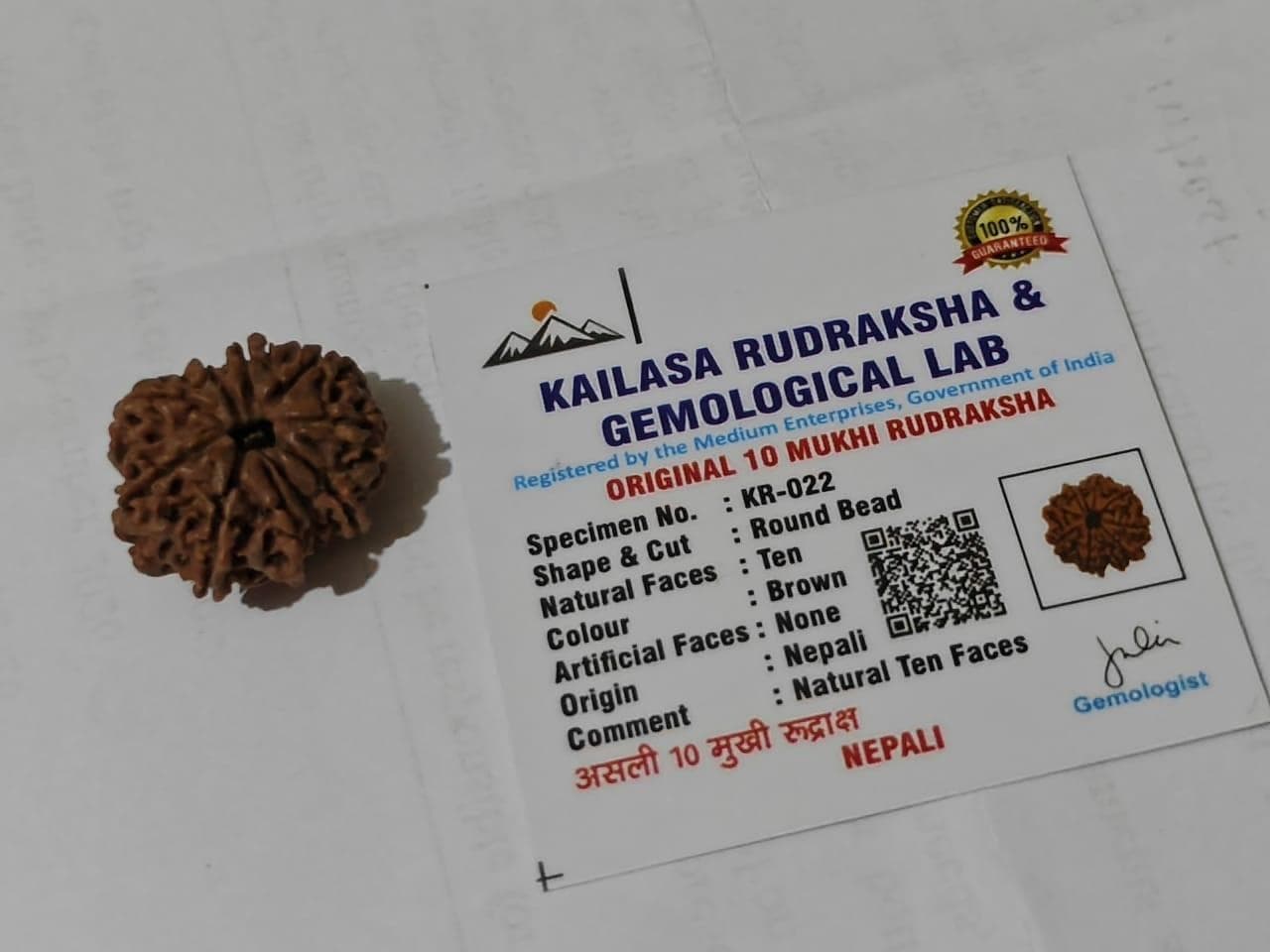 10 Mukhi Rudraksha – The Sacred Shield of Lord Vishnu