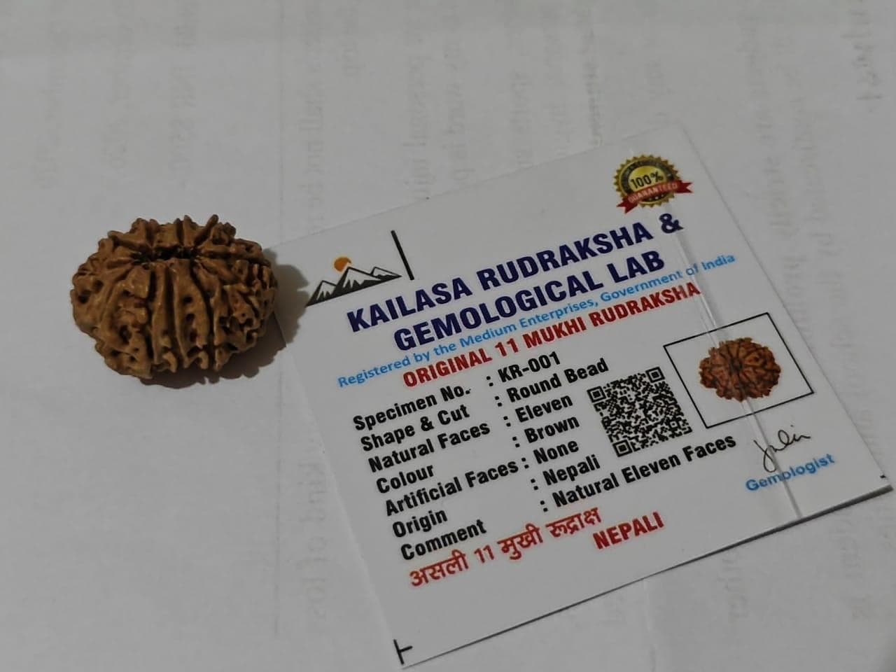 Original 11 Mukhi Nepalese Rudraksha