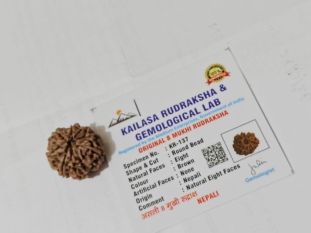 Original 8 Mukhi Rudraksha