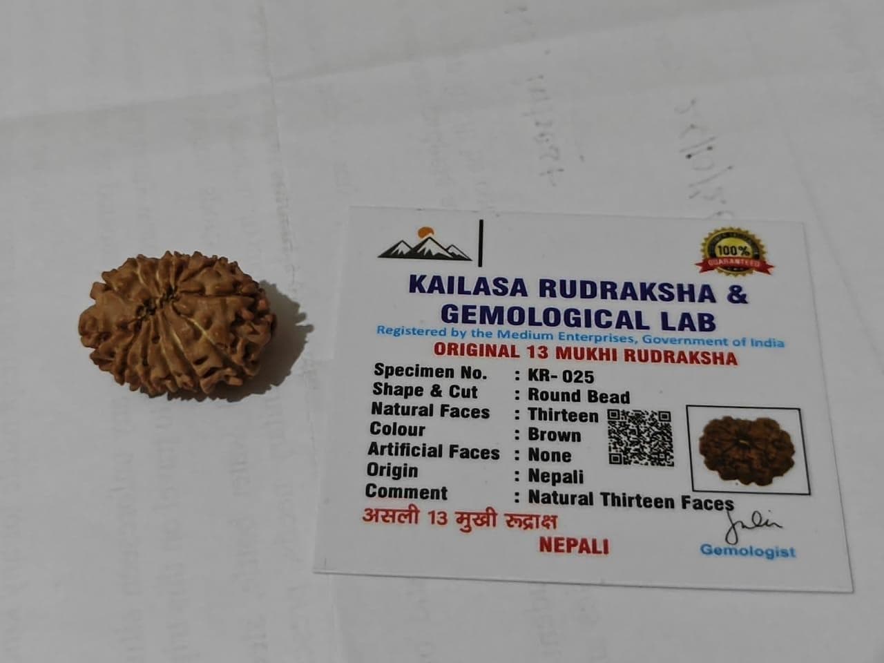 Original Certified 13 Mukhi Nepali Rudraksha