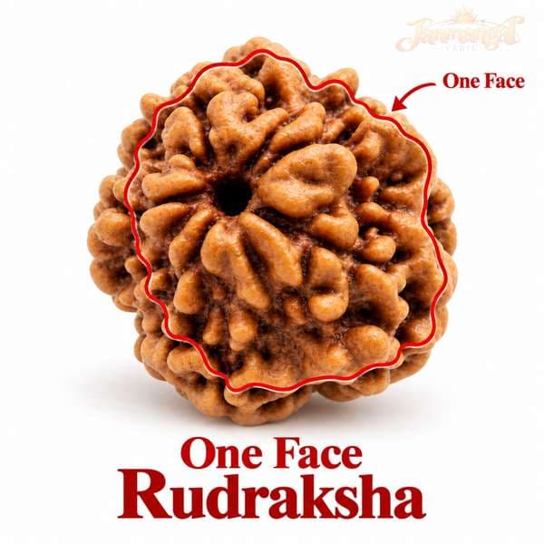 1 Mukhi Lab Certified Rudraksha