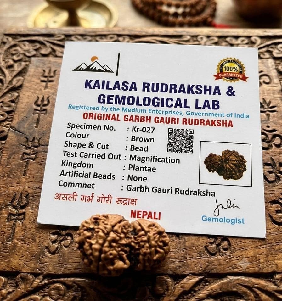 Authentic Nepali Garbh Gauri Rudraksha