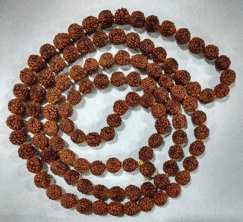 Rudraksha Japa Mala (108+1 Beads)